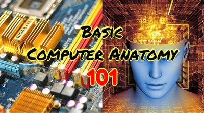 Basic Computer Anatomy 101